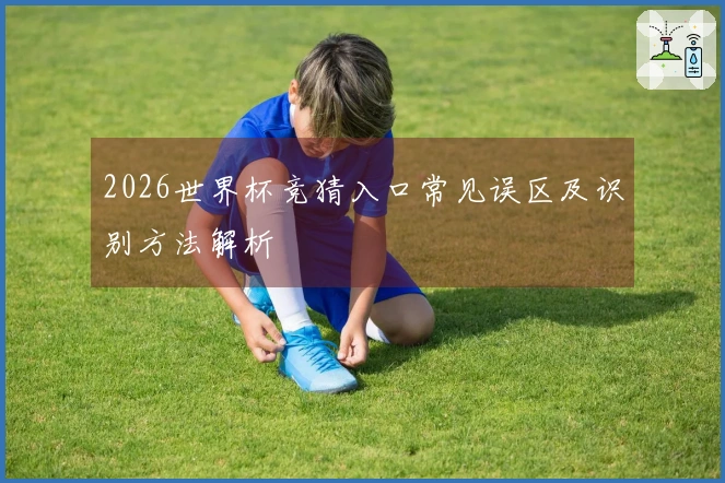 2026世界杯竞猜入口常见误区及识别方法解析