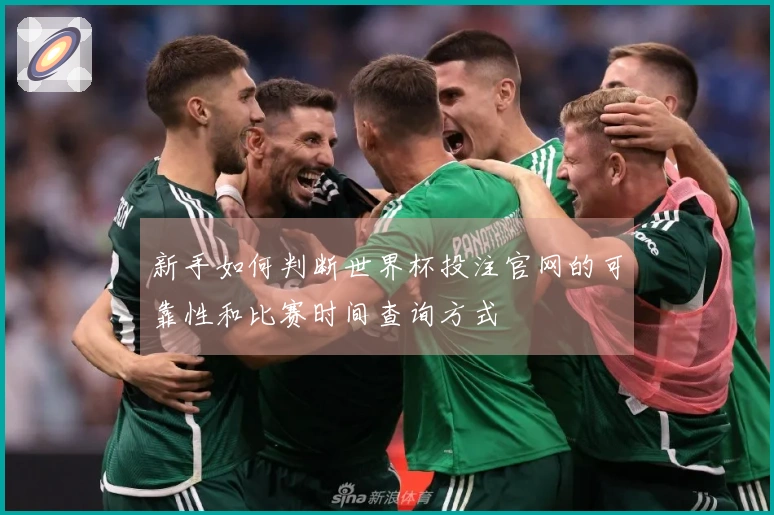 新手如何判断世界杯投注官网的可靠性和比赛时间查询方式