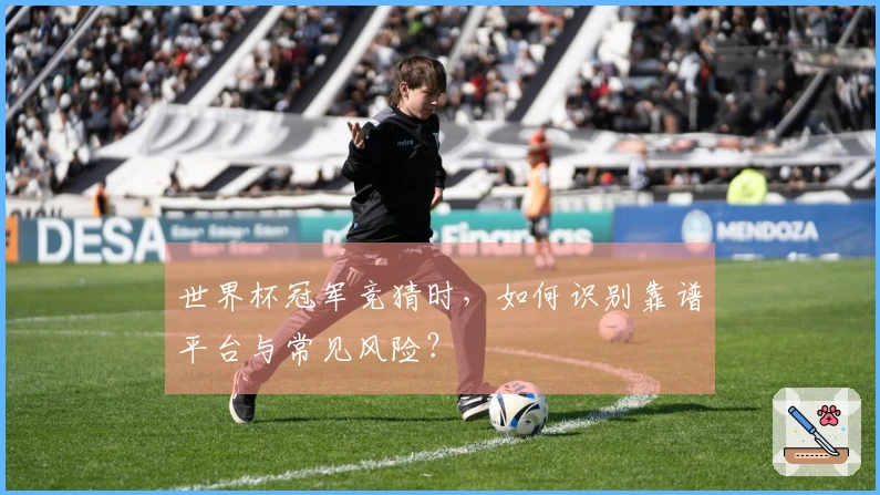 世界杯冠军竞猜时，如何识别靠谱平台与常见风险？