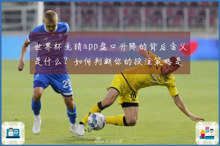 世界杯竞猜app盘口升降的背后含义是什么?如何判断你的投注策略是否有效?